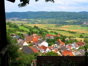 Bierkellerlauf