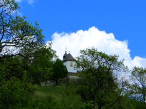 Bierkellerlauf