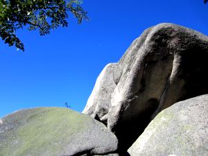 Fichtelgebirge