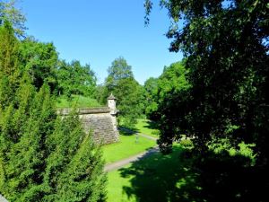 Stadttrail Forchheim