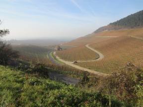 Weinberge bei Iphofen