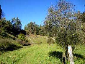 Joggingtour rund um Heiligenstadt am 23. Oktober 2011