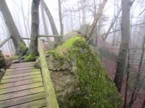 Joggingtour am 01.03.2012 im Bergnebel - Leutenbach - Haidhof