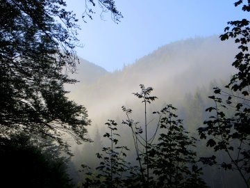 Walchensee