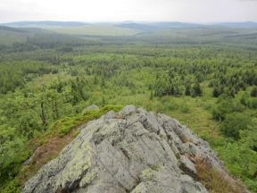 Kurze Joggingtour auf die knapp 1100 m hohe Meluzina (Wirbelstein) im Erzgebirge am 08.06.2012