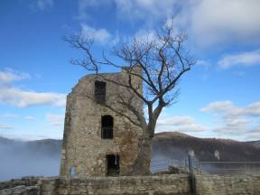 Joggingtour am 15.01.2012 um Streitberg und Muggendorf