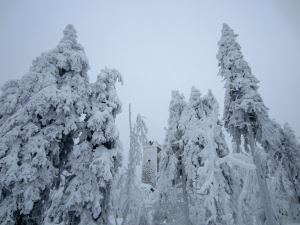 Joggingtour rund um den Ochsenkopf im Fichtelgebirge