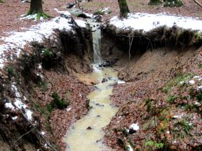 Kleiner Wasserfall im Wald