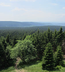 Joggingtour im Thringer Wald