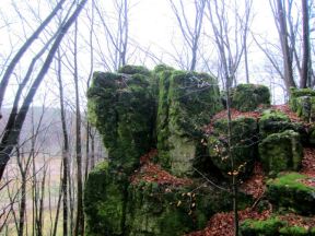 Felsen bei Brikenreuth