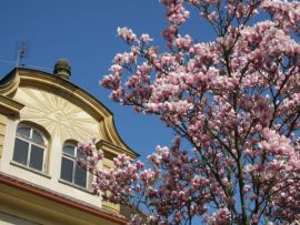 Joggingtour zum Walberla, Reisberg, Pretzfeld und Reifenberg am 10. April 2011