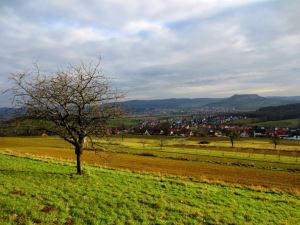 Geburtstagslauf von Thomas am 22.12.2013 