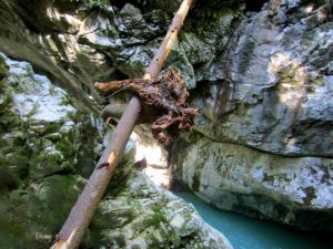 Joggingtour in sterreich in den Lammerfen am 21.06.2013