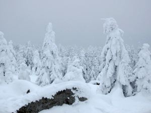 Winterlauf im Fichtelgebirge