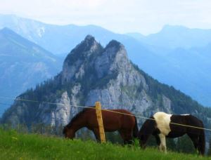 Joggingtour in sterreich von der Postalm auf den 1547 m hohen Windkogel am 21.06.2013