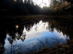 Lauf zum Schwarzen Weiher am 27.12.2013