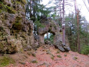 Erkundung der Frhlingsmarathonstrecke bei Eschenbach am 02.03.2014