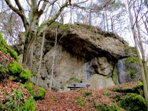 Erkundung der Frhlingsmarathonstrecke bei Hirschbach am 15.02.2014