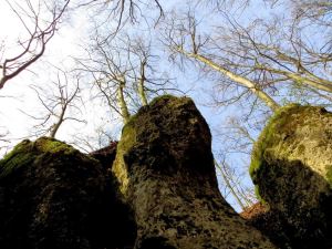 Joggingtour bei Krottensee am 21.03.2014