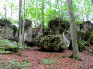 Felsen bei Krottensee