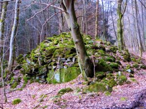 Joggingtour im Spessart am 24.03.2014