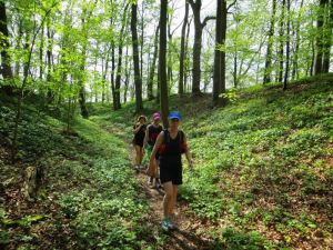 Steigerwald-Orientierungslauf am Steigerwald Panoramaweg am 12.04.2014