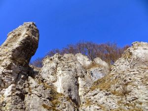 Joggingtour bei Stbig am 09.03.2014