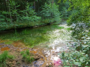 Lauf zu Willersdorfer Keller