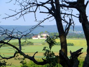 Joggingtour nach Buttenheim am 04.06.2015