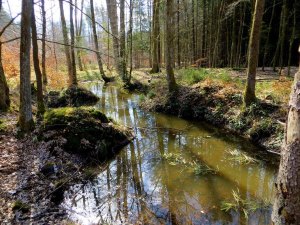 Trail- und Crosslauf vor der Haustüre am 06.04.2015