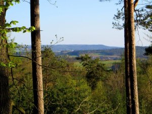 Waldrunde bei Forchheim zum Minigolfplatz am 20.04.2015