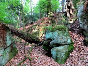 Forchheimer Trail- und Crossrunde zum Minigolfplatz am 08.05.2015