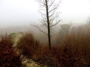 Joggingtour bei Regen zur Rettener Kanzel und Högelstein am 17.01.2015