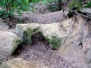 Schießbergrunde bei Unterstürmig am 11.05.2015