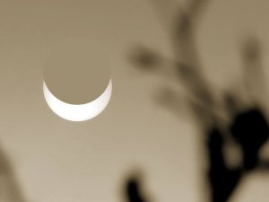 SoFi-Lauf während der Sonnenfinsternis am 20.03.2015