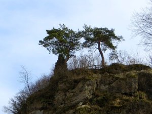 Thuisbrunn-Runde am 10.03.2015