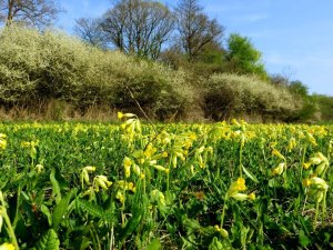 Trubachtalrunde bei Forchheim am 16.04.2015